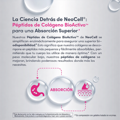 Colágeno Powder Péptidos 1 y 3 "Hair, Skin, Nails & Joints" 20 sobres de 10 gr. (sin sabor)